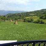 Dzeni