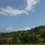 Dzeni
