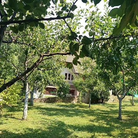 Dzeni * Zenica