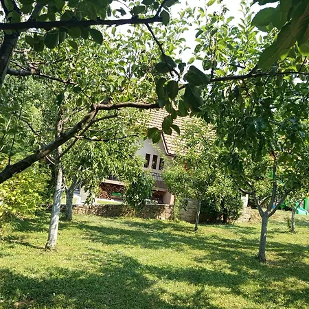 Prázdninový dům Dzeni