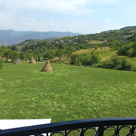 Dzeni