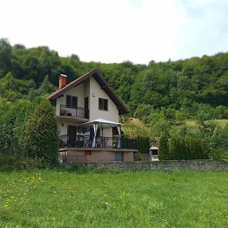 Dzeni Zenica